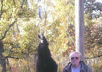 View The Bear Hunting Gallery