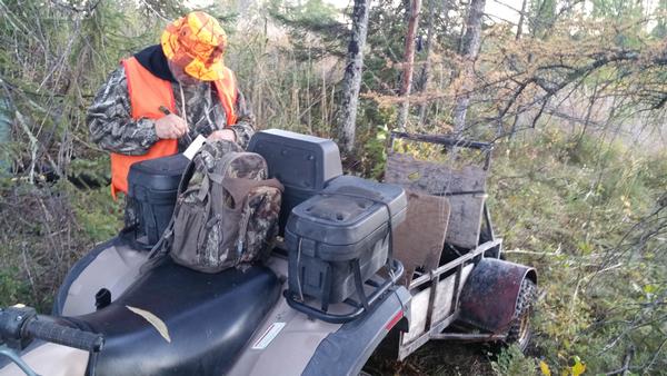 Fall bear hunts