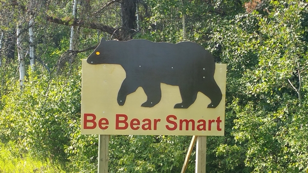 Problem Bears on the rise