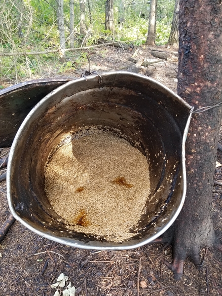 2018 Fall bear baits