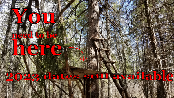 2023 dates still available