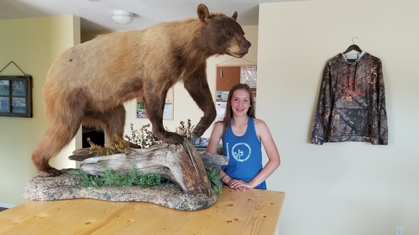 Lily's 3 colored bear mount is done!