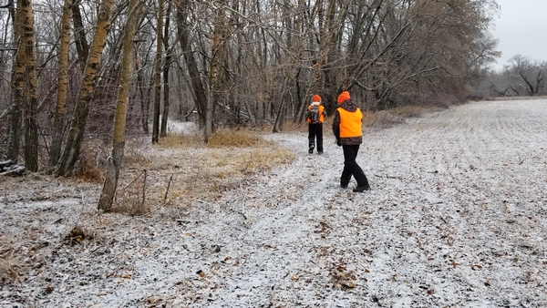 2019 whitetail deer hunting