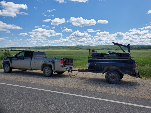 collecting bear bait