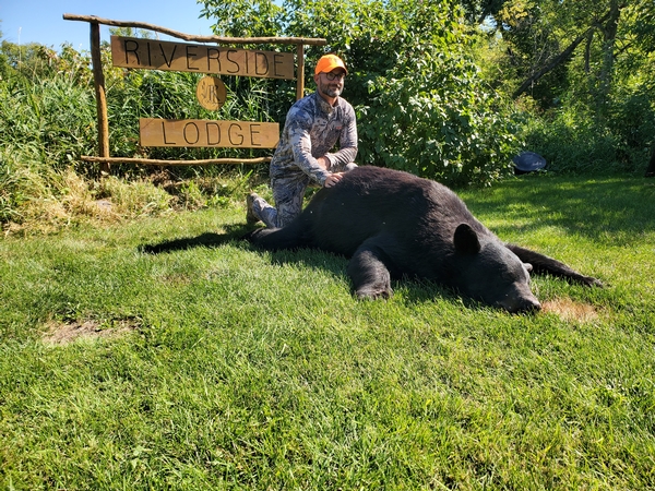 Another monster Manitoba black bear