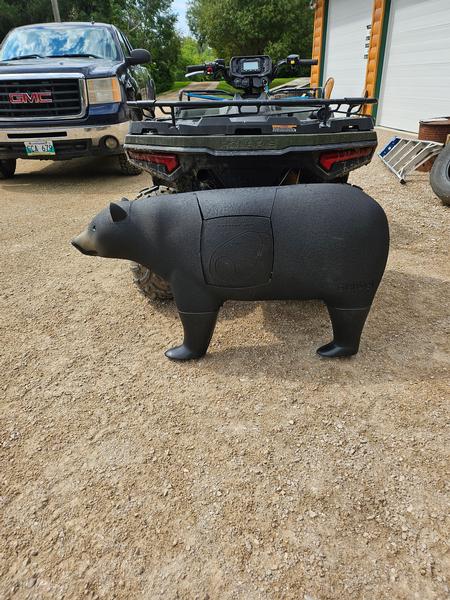 Archery black bear target