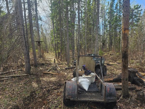 Great bear hunting stand.