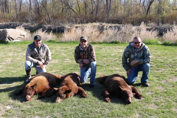 2019 spring bear season report