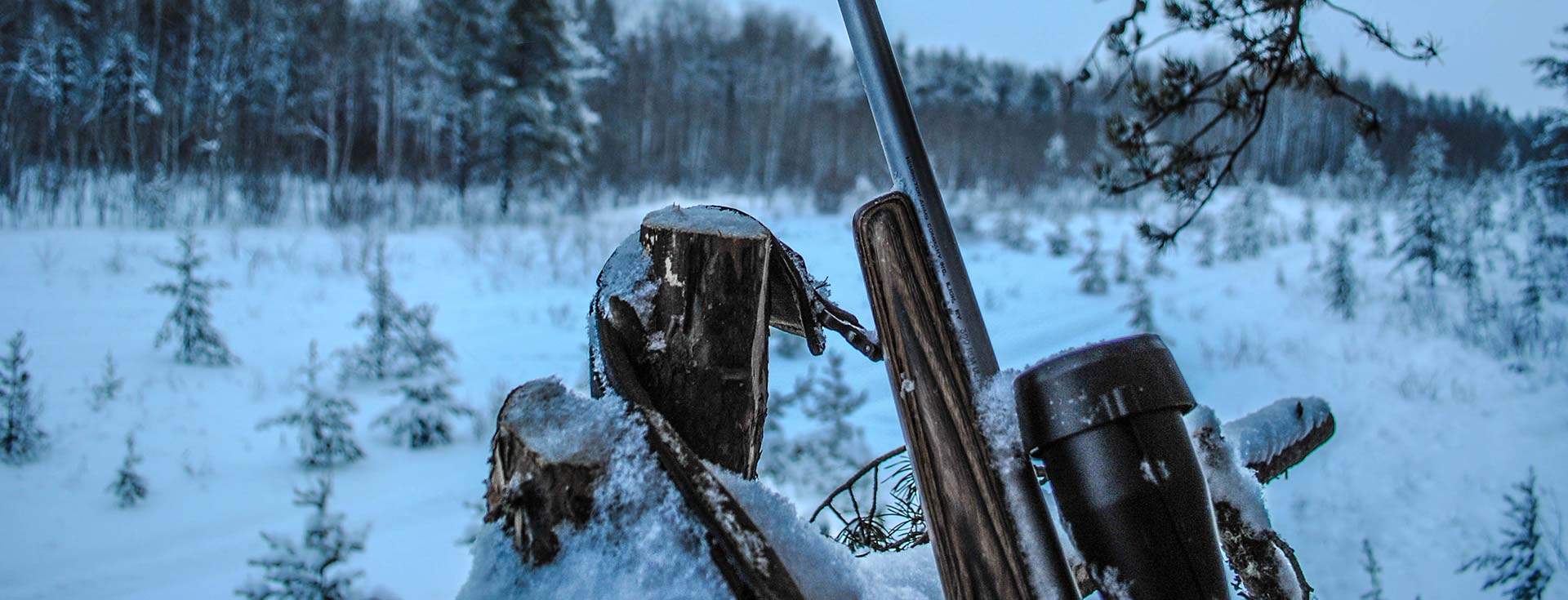 2020 Josie's whitetail season 2020 Josie's whitetail season