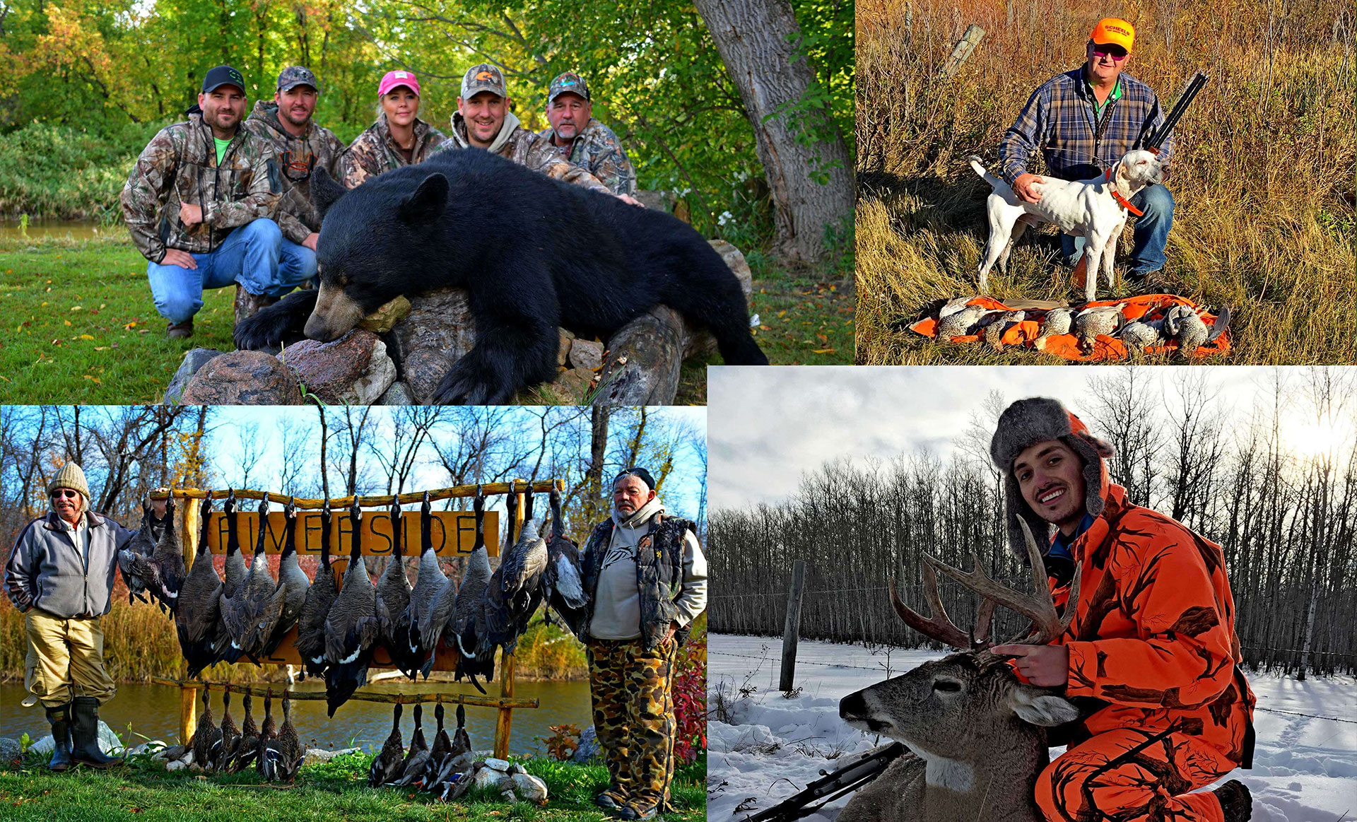 Forfaits de chasse aux oiseaux au petit gibier — Riverside Lodge – Riverside Lodge