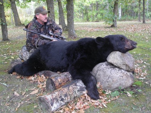 The Bear Hunts The Bear Hunts