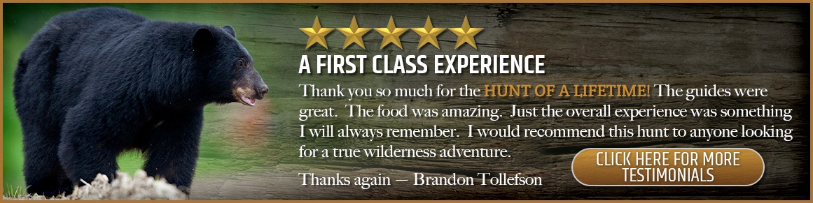 First Class Experience